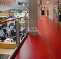 Forbo Marmoleum Decibel on Order 313135 scarlet фото 2 | FLOORDEALER